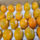 단감농장 이미지