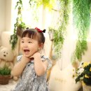 베베숲스튜디오