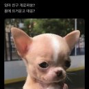 연진약국 이미지