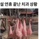 설 연휴 끝난 치과 상황.gif 이미지