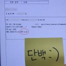 🌿 6개월 고민 끝에 구매한 칼로하스 그린케일 공구후기｜맛, 먹는법, 장반응 솔직리뷰