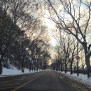 춘향테마파크 어린이 이미지