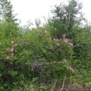 금강온천 이미지