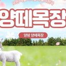 사계절목장 이미지