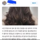 대구 칠곡 3지구 디와이헤어샵_후기맛집/머리맛집/열펌전문/ 손상없는미용실 에서 예쁜머리 하시고가세용🤗