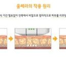 셀린피부과의원 이미지