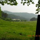 천지봉농장 이미지