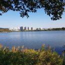 서호공원 이미지