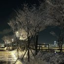 마곡 야끼니꾸 맛집 유메이규 내돈 내산 후기