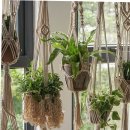 마크라메 플랜트 행잉 DIY 이미지