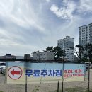 [울산 울주군] 진하해수욕장 '진하서핑 서프홀릭 울산점' 솔직후기