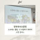 지청3 | [공공기관 출강] 조향클래스는 숨클래스에서! 경북북부 보훈지청 스트레스힐링 수업 후기ㅣ롤온향수