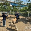 대구북구치매안심센터 이미지