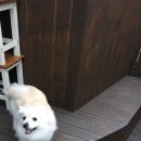 365 신원당 동물병원 이미지