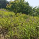 함안땅공인중개사사무소 이미지