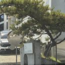 호호풀빌라 | [경기/인천] 영흥도 풀빌라 '호호용담 풀빌라' A02 몬스테라 내돈내산 후기