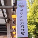 공주시래기감자탕 - 공주시 공주고담길 5 | 공주시래기감자탕