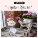 이쁨모아