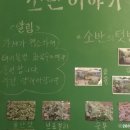 블루마린민박 이미지