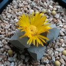 마옥환경 이미지