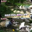 고니농장 이미지