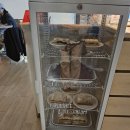 스테이블 | 전주브런치 찾는다면 여기! 피자·와인까지 완벽한 스테이블테이블 솔직후기