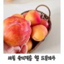 감로 | 의성자두 제철 감로자두농원 햇자두 도담 구매후기 자두추천