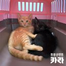 서초1동010 이미지