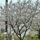 1293 | 진해 남문 예쁨헤어 내돈내산 솔직 후기✨ (레이어드컷+매직세팅펌)