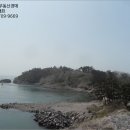 옥도면 장자도리 이미지