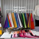 씨제이올리브영(주) 부산온천점 | 대전 퍼스널컬러 “컬러온더비” 평생 웜톤인줄 알았는데 겨울쿨톤페일 나온 진단 후기