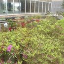 무릉2리마을회관 이미지