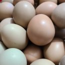 수안보농장 이미지