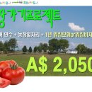 머물농장 이미지