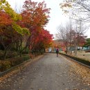 내장산 단풍축제산행 4. 내장사-원적암-벽련암 이미지