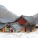 염불 하면 40리나 뻗치는 불광이 보호한다. 이미지