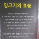 [한성양꼬치 양갈비] 나성동양꼬치 세종양꼬치
