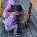 이레펜션B | 41개월 아이와 서산 용현계곡 레트로카페 평상 대여 및 물놀이