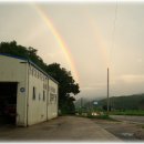 소나무풍경 이미지