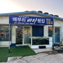 매부리바다횟집 | [해남맛집/진도맛집] 반찬까지 맛있는 '하모회 하모샤브샤브 맛집' 매부리바다횟집