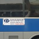 프리덤라이프 이미지