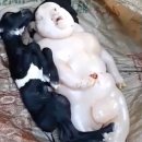 재왕 농장 이미지