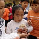 산들바농장 이미지