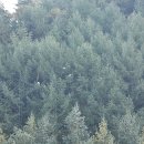 장성병원 중앙 이미지