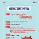 딸기 - 관악구 남부순환로224길 13 | 딸기