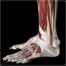 수암한의원 이미지