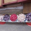 콩이야기 이미지