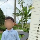 토끼뜰 | 장성카페, 토끼뜰 내돈내산