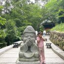 여수봉황산자연휴양림 | [전남 여수] 봉황산 자연휴양림 휴양관 206호, 하모유비끼 먹고 행복했던 6월 여행