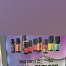 수원-0366 이미지